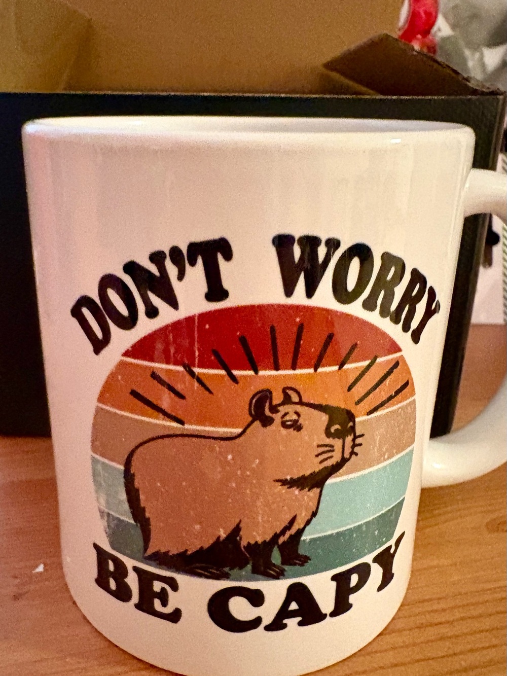 Don't Worry Be Capy White Ceramic Mug